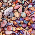 The Potted Garden - Colorful Pebbles Up Close