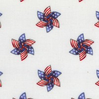 Teddys America - Patriotic Pinwheels by Robert Giordano