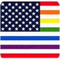 Price Rainbow Flag Panel - PRICED AND SOLD BY THE FULL PANEL ONLY