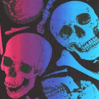 Rainbow Skeletons on Black - SALE! (MINIMUM PURCHASE 1 YARD)