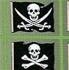 A Pirate's Life in Green  Black and White