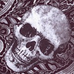 Wicked- Tossed Skulls on Paisley