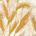 Making Hay - Wheat Field on Beige by Dan Morris
