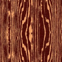 Aviary 2 - Woodgrain Up Close by Joel Dewberry