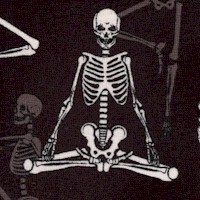 Lights Out - Glow in the Dark Skeletons in Yoga Poses