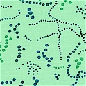 Germania - Petri Dish on Green by Jay McCarroll - SALE! (1 YARD MINIMUM PURCHASE)