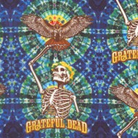 Grateful Dead - Skeleton Hawk on Tie Dye - SALE! (MINIMUM PURCHASE 1 YARD)