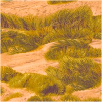 Danscapes - Scenic Dunes by Dan Morris