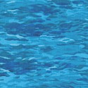 Seashore - Endless Ocean  - BACK IN STOCK