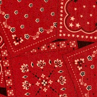 American West - Tossed Bandanas by Faye Burgos