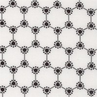BW-beez-DD534