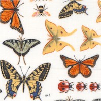 AN-botanical-D691