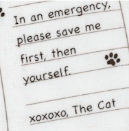 XOXOXO, The Cat Notes to Humans by Wendy Slotbloom