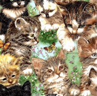 Garden Kitty Friends - Sweet Kittens and Butterflies by Giordano Studios