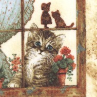 Window Tails - Adorable Kittens in Windows by Giordano Studios