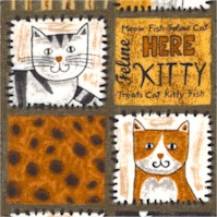 CAT-cats-DD648