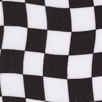Hit the Gas! Black and White Racing Flag Check by Dan Morris