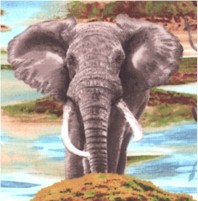 Majestic Realistic Elephant Families