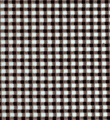 MISC-gingham-DD704