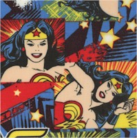 Girl Power II - Wonder Woman Collage