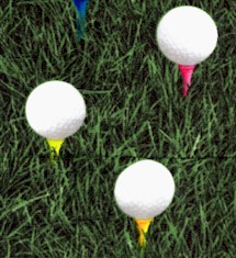 SP-golf-DD705