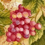 Vineyard Collection - Gorgeous Grapevines