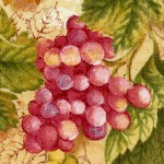 Vineyard Collection - Gorgeous Grapevines