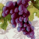 Wine Country - Tossed Grape Clusters - SALE! (MINIMUM PURCHASE 1 YARD)