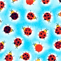 AN-ladybugs-DD611