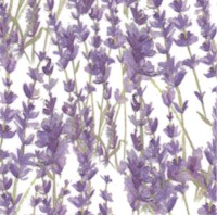 Enjoy the Little Things - Digital Lavender by Dan DiPaolo