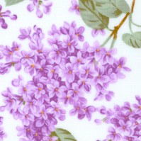 FLO-lilacs-DD599