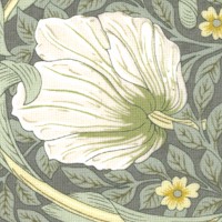 Leicester - Small Pimpernel by The Original Morris & Company