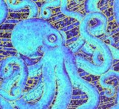FISH-octopus-DD651