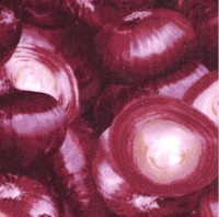 Farmers Market - Packed Red Onions