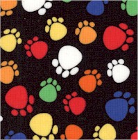 Colorful Cat Paws on Black