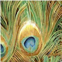 Peacock Paradise - Magnificent Gilded Peacock Feathers - SALE! (MINIMUM PURCHASE 1 YARD)