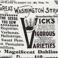 Annies Farmstand - Seed Catalog by Holly Holderman