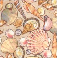 FISH-shells-CC785