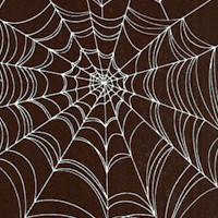 Scribble Monsters - Spiderwebs in Black and White by Leere Aldrich Black