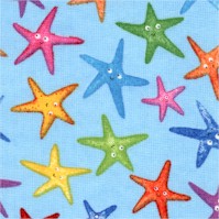 FISH-starfish-DD619