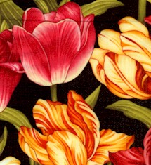 FLO-tulips-DD686