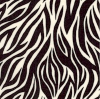 Jolly Jungle - Zebra Skin Up Close - SALE! (MINIMUM PURCHASE 1 YARD)