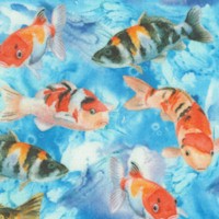 Koi Shuffle - Real Koi Watercolor #1