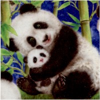 Panda Sanctuary - Happy Panda Bears on Blue