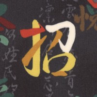 Good Fortune - Japanese Letters and Phrases on Grey