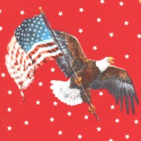 American Tribute - Eagles and Flags on Star-Studded Red by Whistler Studios