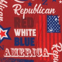 American Republican - Party Collage (Digital)