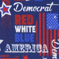 American Democrat - Party Collage (Digital)