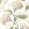 RJR Art Nouveau Romance Hydrangeas on Antique White