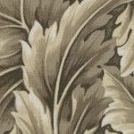 William - Medium Scale Acanthus Leaves - Natural